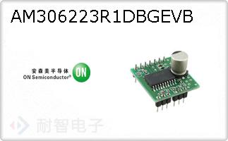 AM306223R1DBGEVB