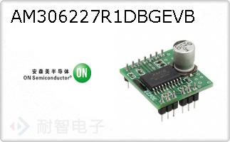 AM306227R1DBGEVB