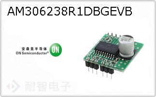 AM306238R1DBGEVB