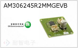 AM306245R2MMGEVB