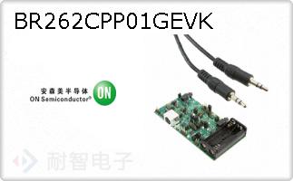 BR262CPP01GEVK