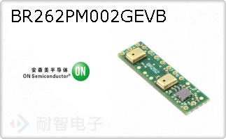 BR262PM002GEVB