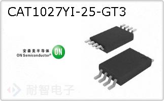 CAT1027YI-25-GT3