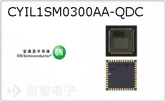 CYIL1SM0300AA-QDC