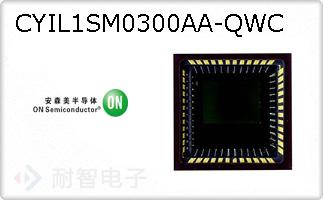 CYIL1SM0300AA-QWC