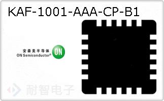 KAF-1001-AAA-CP-B1