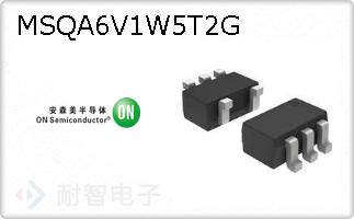 MSQA6V1W5T2G