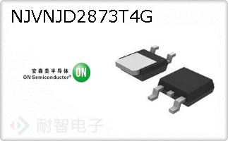 NJVNJD2873T4G