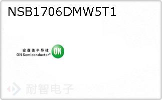 NSB1706DMW5T1
