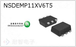 NSDEMP11XV6T5