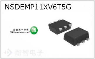 NSDEMP11XV6T5G