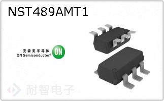 NST489AMT1