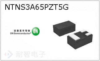 NTNS3A65PZT5G