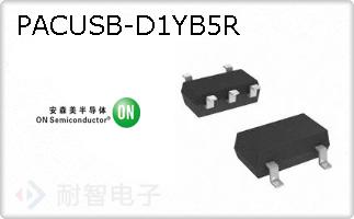 PACUSB-D1YB5R