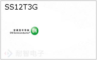 SS12T3G