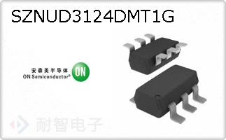SZNUD3124DMT1G