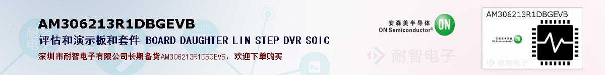 AM306213R1DBGEVBıۺͼ