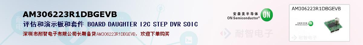 AM306223R1DBGEVBıۺͼ