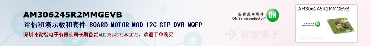 AM306245R2MMGEVBıۺͼ