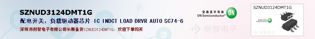 SZNUD3124DMT1Gıۺͼ