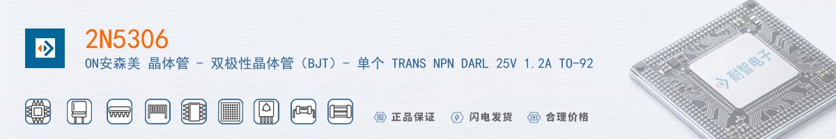 2N5306������