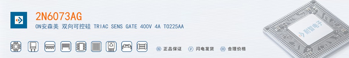 2N6073AG������