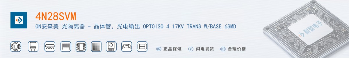 4N28SVM������