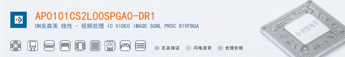 AP0101CS2L00SPGA0-DR1������