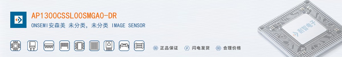 AP1300CSSL00SMGA0-DR������