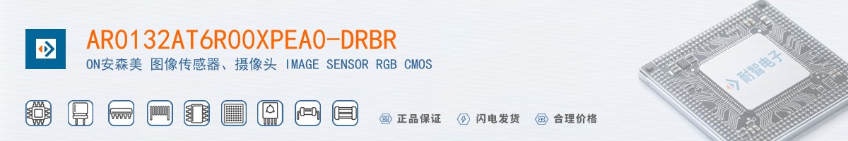 AR0132AT6R00XPEA0-DRBR������