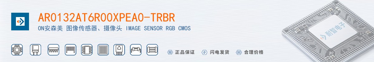 AR0132AT6R00XPEA0-TRBR������