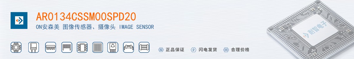 AR0134CSSM00SPD20������