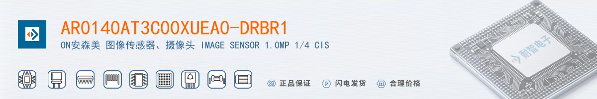 AR0140AT3C00XUEA0-DRBR1������