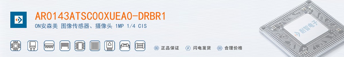 AR0143ATSC00XUEA0-DRBR1������