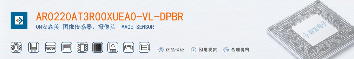 AR0220AT3R00XUEA0-VL-DPBR������