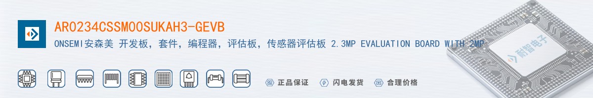 AR0234CSSM00SUKAH3-GEVB������