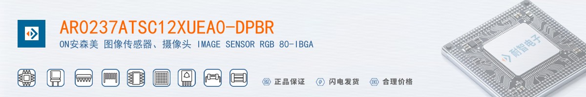 AR0237ATSC12XUEA0-DPBR������