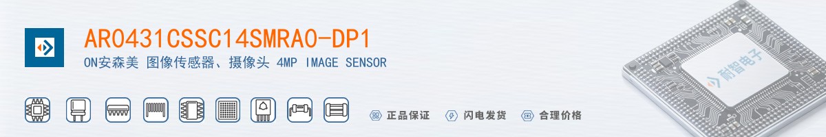 AR0431CSSC14SMRA0-DP1������