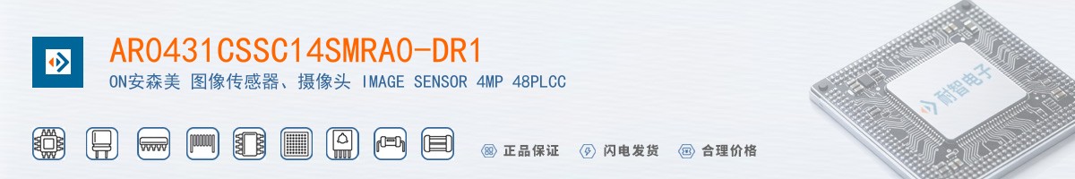 AR0431CSSC14SMRA0-DR1������