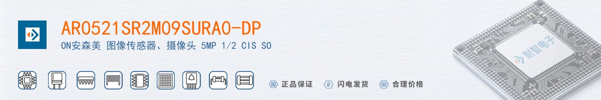 AR0521SR2M09SURA0-DP������