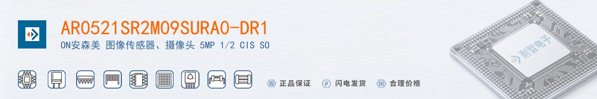 AR0521SR2M09SURA0-DR1������