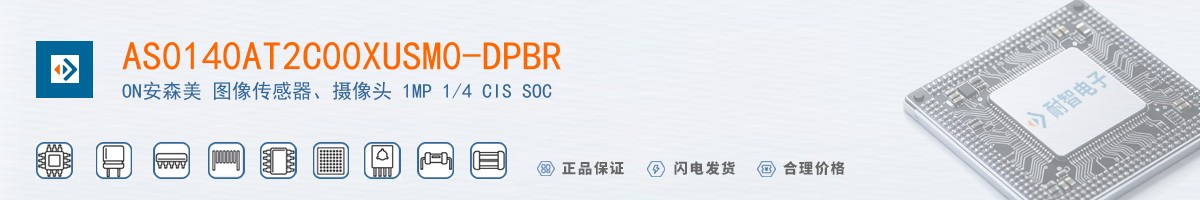 AS0140AT2C00XUSM0-DPBR������