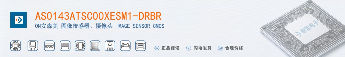 AS0143ATSC00XESM1-DRBR������