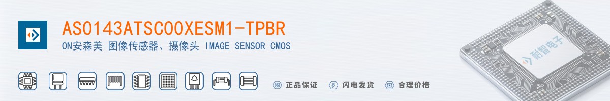 AS0143ATSC00XESM1-TPBR������