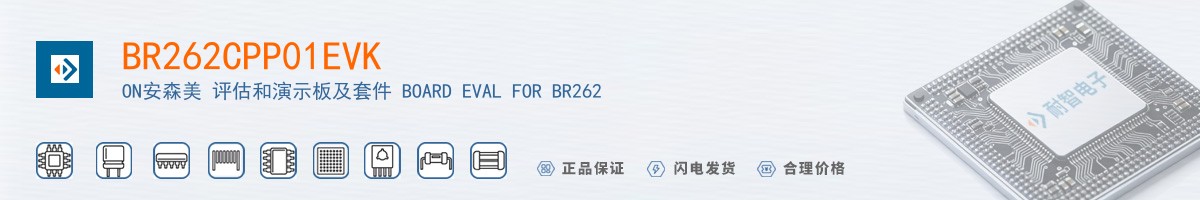 BR262CPP01EVK������