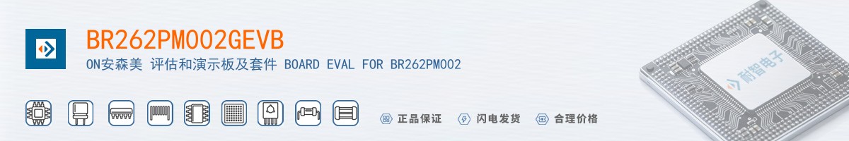 BR262PM002GEVB������