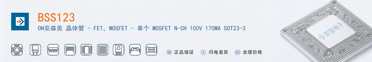 BSS123������