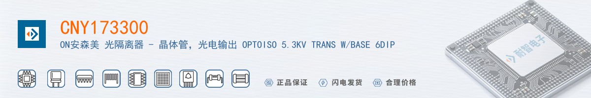 CNY173300������