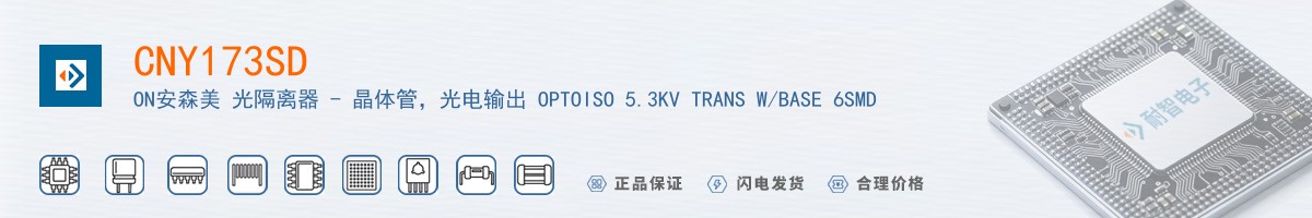 CNY173SD������