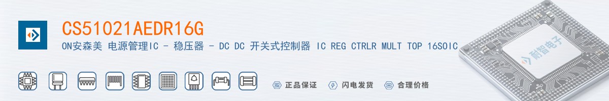 CS51021AEDR16G������